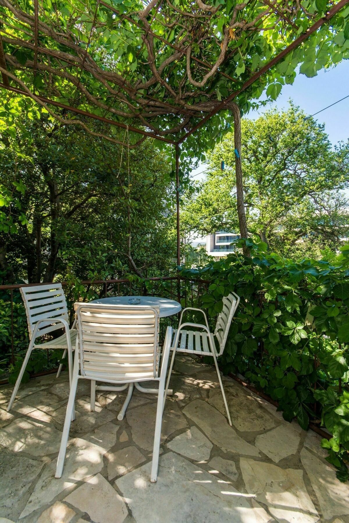 Apartments & Rooms Jokovic Mlini Zewnętrze zdjęcie